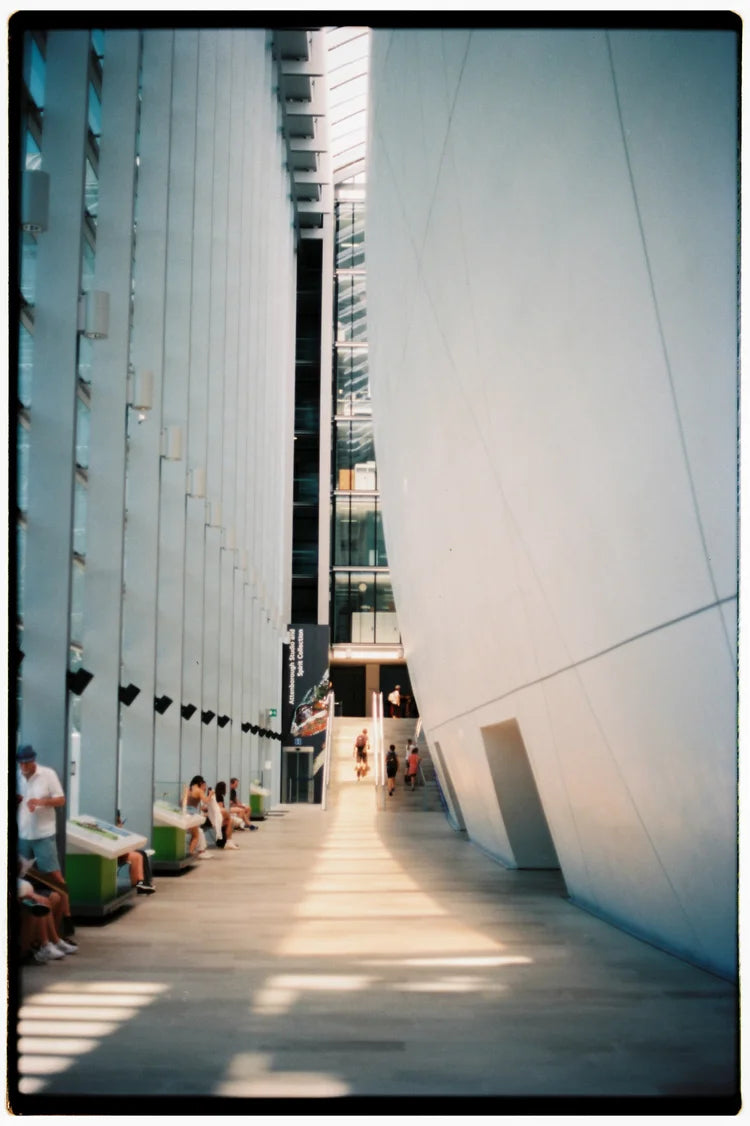 1hundred 100 iso color film roll