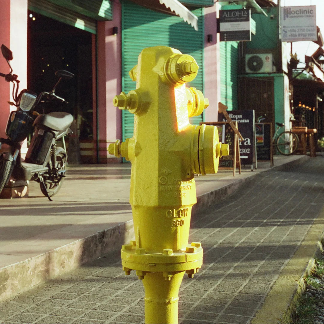 Candido400 Color Film - 36 exp