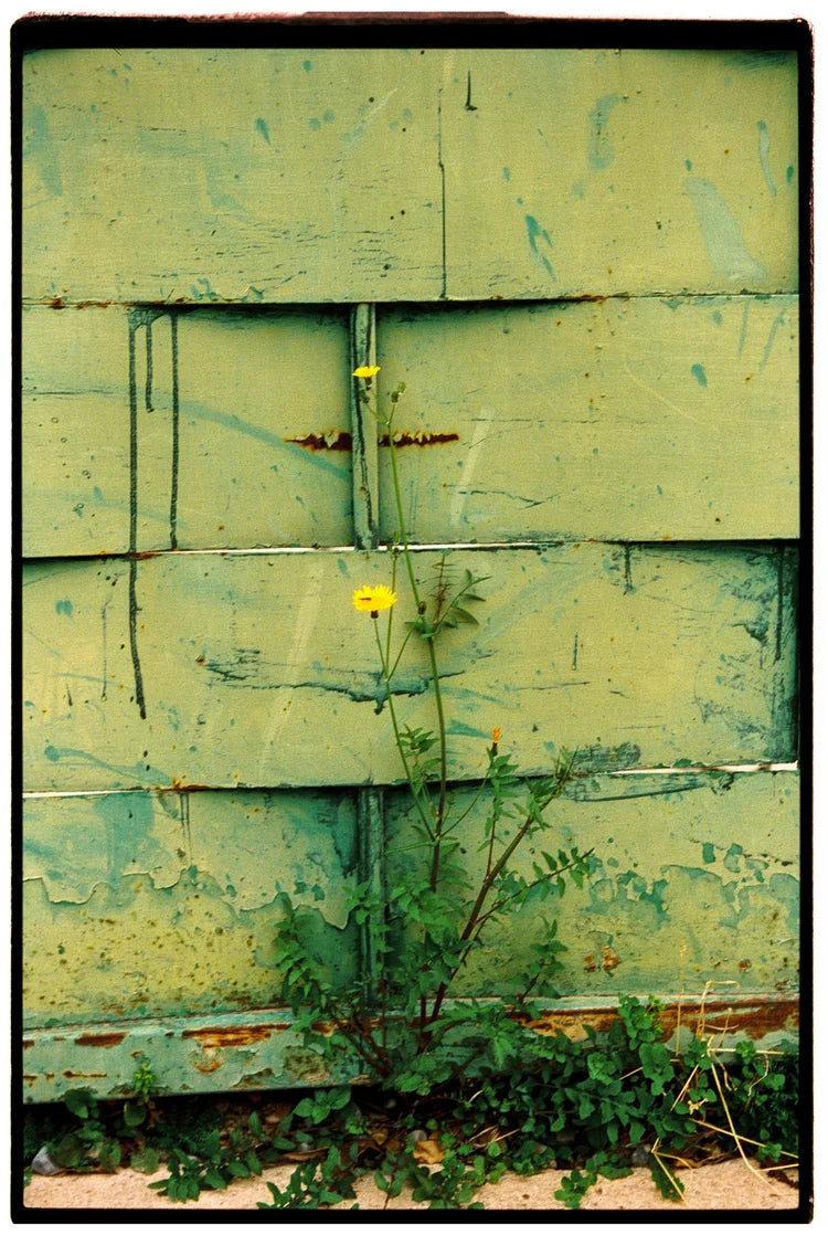 1hundred 400 iso color film roll